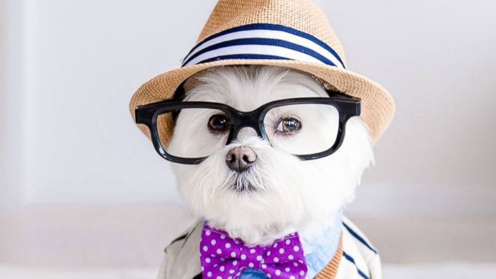 You got: Not A Hipster! This “Yes or No” Quiz Will Officially Determine If You’re a Hipster