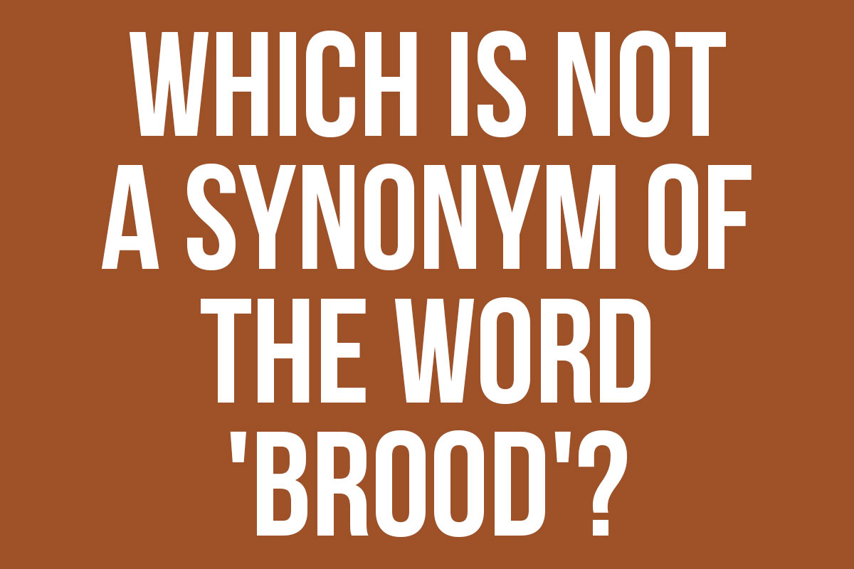 Is Your Vocabulary Good Enough To Pass This Synonym Quiz?