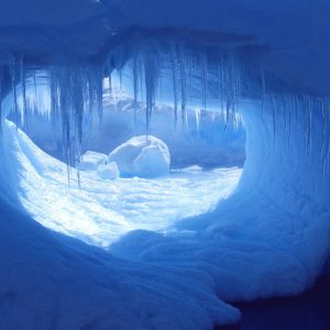 Half Population Can’t Pass This Random Trivia Quiz, & I Doubt You Can Either Antarctica