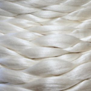 Can You Pass a 1954 Home Economics Class? Silk