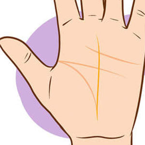 Palm Reading Quiz Joined to the life line