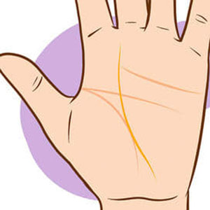 Palm Reading Quiz Joins with the life line around the middle