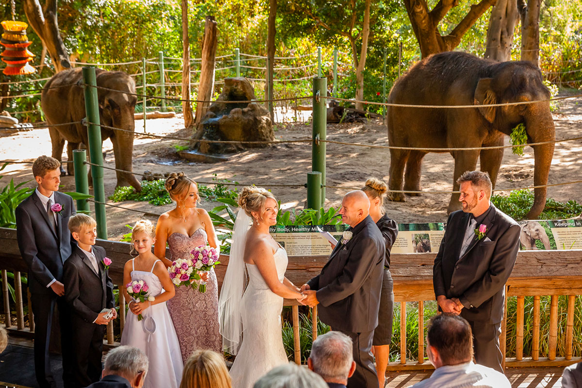 👰 Rate These Wedding Venues and We’ll Reveal When You’ll Get Married 1528