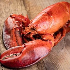 Can You Go 15 for 15 on This Impossibly Hard Food Anagram Quiz? 