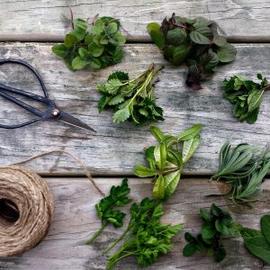 Summer Trivia Quiz! Can You Handle The Heat? 😎🔥 Herb