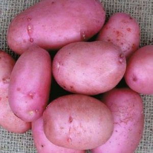 Can You Grab Correct Ingredients To Make This Recipe? Quiz 