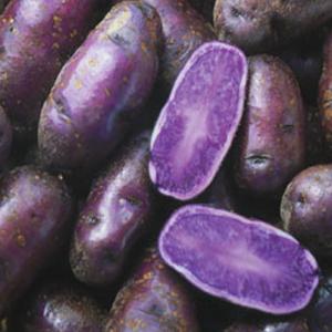 Can You Grab Correct Ingredients To Make This Recipe? Quiz 