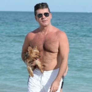 Pick Male Celebs To Know If You're More Introverted Or … Quiz Simon Cowell