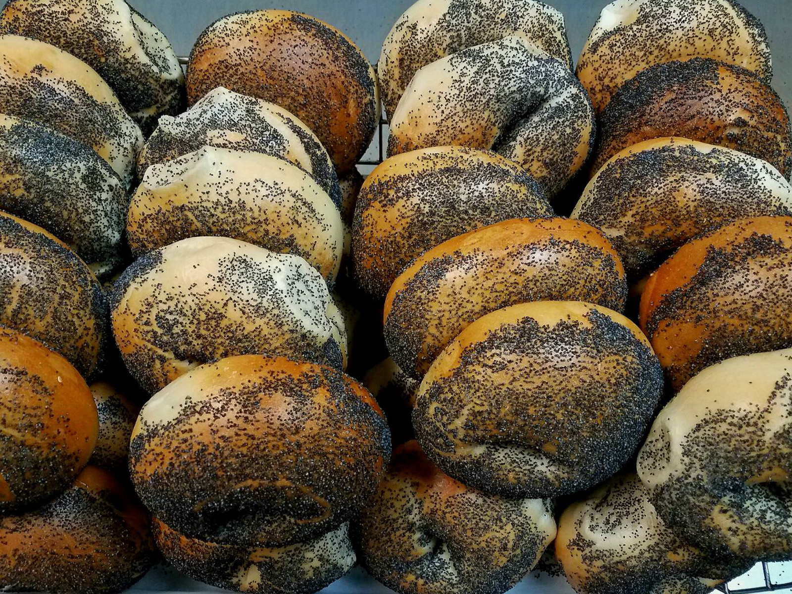 Can You Beat the Average Person at Busting These Common Myths? poppy seed bagels