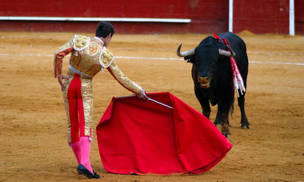 Which Of The Following Statements Is True? bull fighting