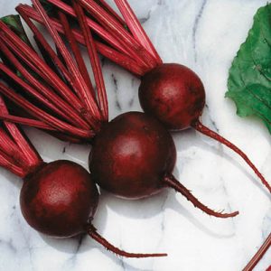 🥯 Order Your Dream Bagel and We’ll Reveal What Age You Will Live to Beets