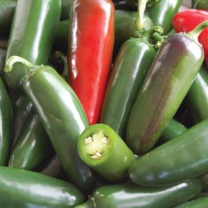 🥯 Order Your Dream Bagel and We’ll Reveal What Age You Will Live to Jalapeños
