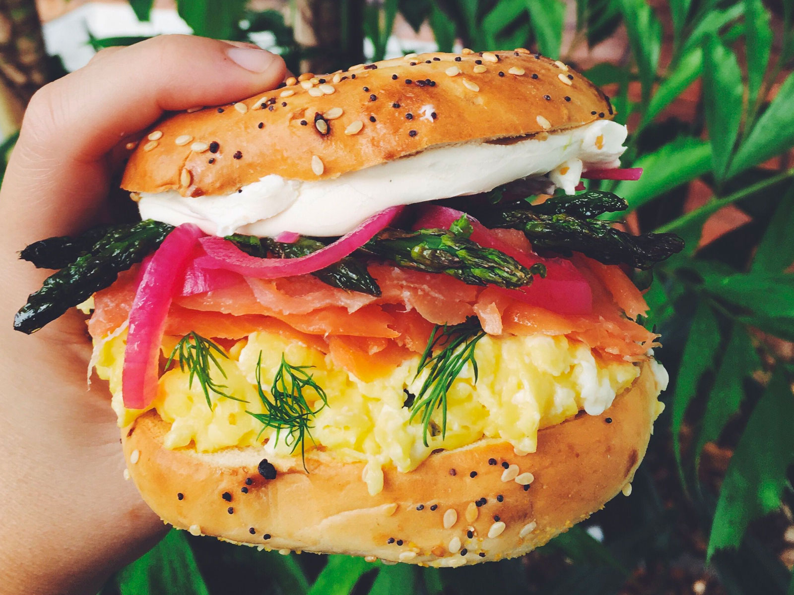 🥯 Order Your Dream Bagel and We’ll Reveal What Age You Will Live to 528