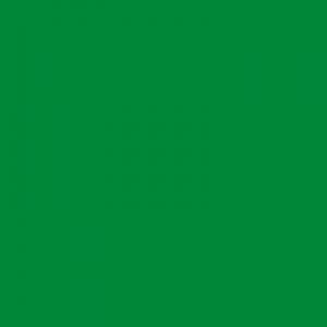 Only Certified Genius Can Score Higher Than 12 On This General Knowledge Quiz Green