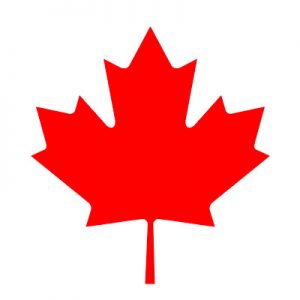 Only Certified Genius Can Score Higher Than 12 On This General Knowledge Quiz Canada