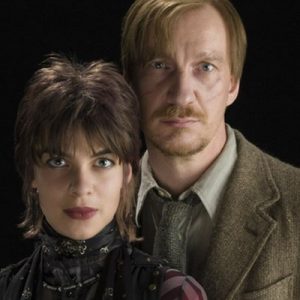 Pick Some Fictional Couples and We’ll Reveal Your Celebrity Soulmate, Ex, And the One Who Got Away Tonks and Lupin