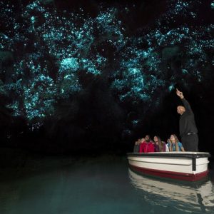 ✈ Choose Some Places You Want to Visit and We’ll Guess How Many Countries You’ve Traveled to Waitomo Glowworm Caves, New Zealand