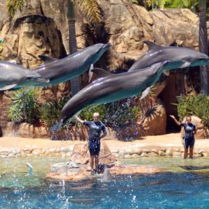 ✈ Choose Some Places You Want to Visit and We’ll Guess How Many Countries You’ve Traveled to Sea World Gold Coast, Australia