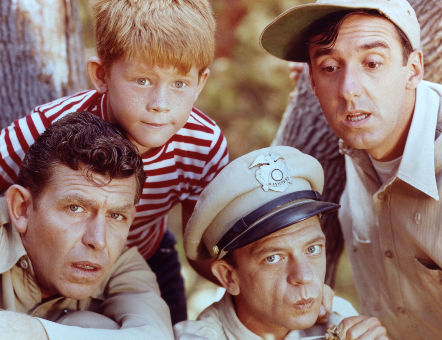 Here Are 34 Classic Sitcoms — How Many Have You Actually Seen? The Andy Griffith Show