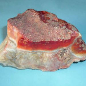 💸 Can You Waste $1 Billion In A Week? Quiz A rock that looks like meat