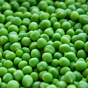 🍞 Make Some Toast and We’ll Reveal Your Best Quality Peas