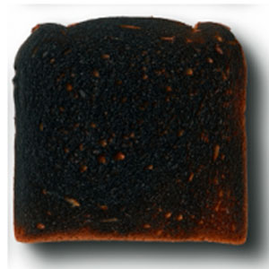 🍞 Make Some Toast and We’ll Reveal Your Best Quality 