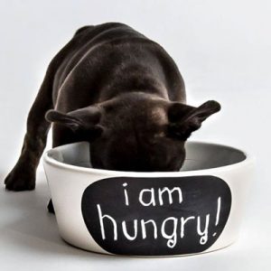 Can We Guess Which Three Foods You Love the Most? 
