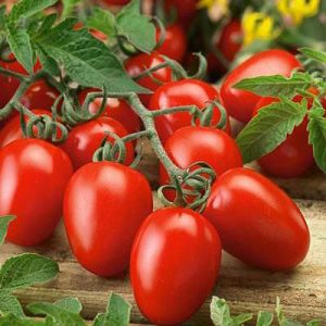 What Job Would You Have in a Restaurant Kitchen? Tomatoes
