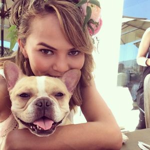 What Dog Breed Am I? Pippa Teigen