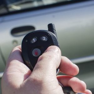 What Dog Breed Am I? Car alarm