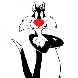 What Cat Breed Am I? Quiz Sylvester