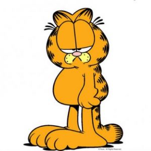 What Cat Breed Am I? Quiz Garfield