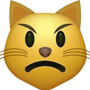 What Cat Breed Am I? Quiz 