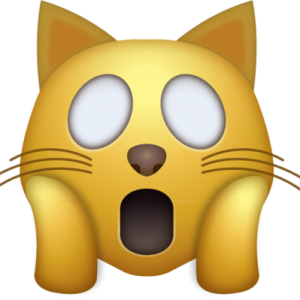 What Cat Breed Am I? Quiz 