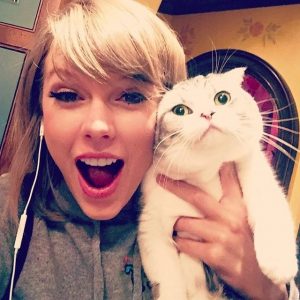 What Cat Breed Am I? Quiz Meredith Swift