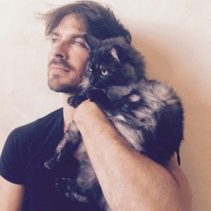 What Cat Breed Am I? Quiz Sohalia Somerhalder