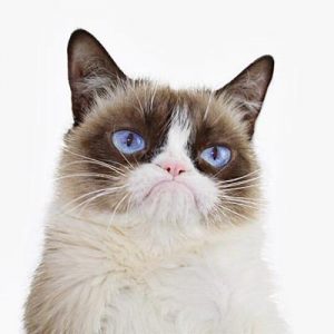 What Grade Are You Getting in Life So Far? Grumpy