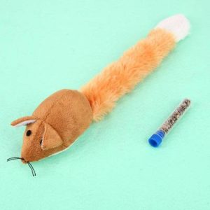 What Cat Breed Am I? Quiz 
