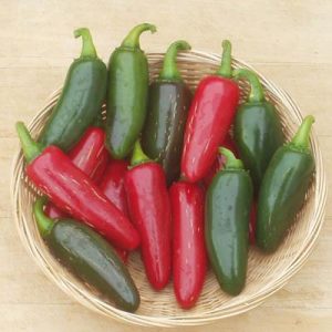 What Job Would You Have in a Restaurant Kitchen? Jalapeno pepper