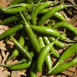 What Job Would You Have in a Restaurant Kitchen? Serrano pepper