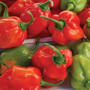 What Job Would You Have in a Restaurant Kitchen? Habanero pepper