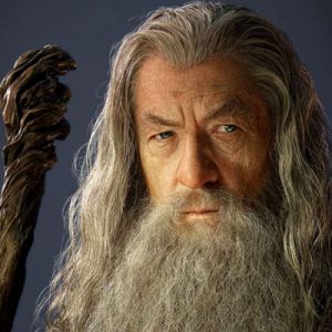 📚 Only a Person Who Has Read Enough Books Can Get 15/20 on This Quiz Gandalf the Grey