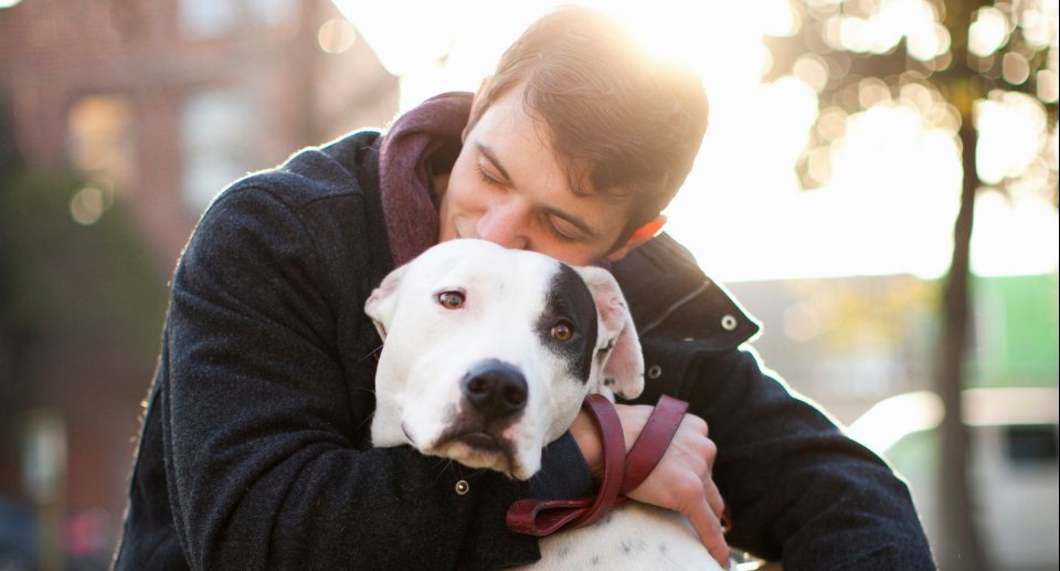 You got: Kindness! 🐕 Choose Some Dogs and We’ll Reveal What You Really Need in a Man ❤