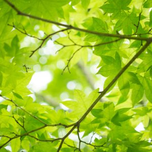 ✏️ Here Are 15 Third Grade Questions — Can You Ace Them? Quiz Leaf