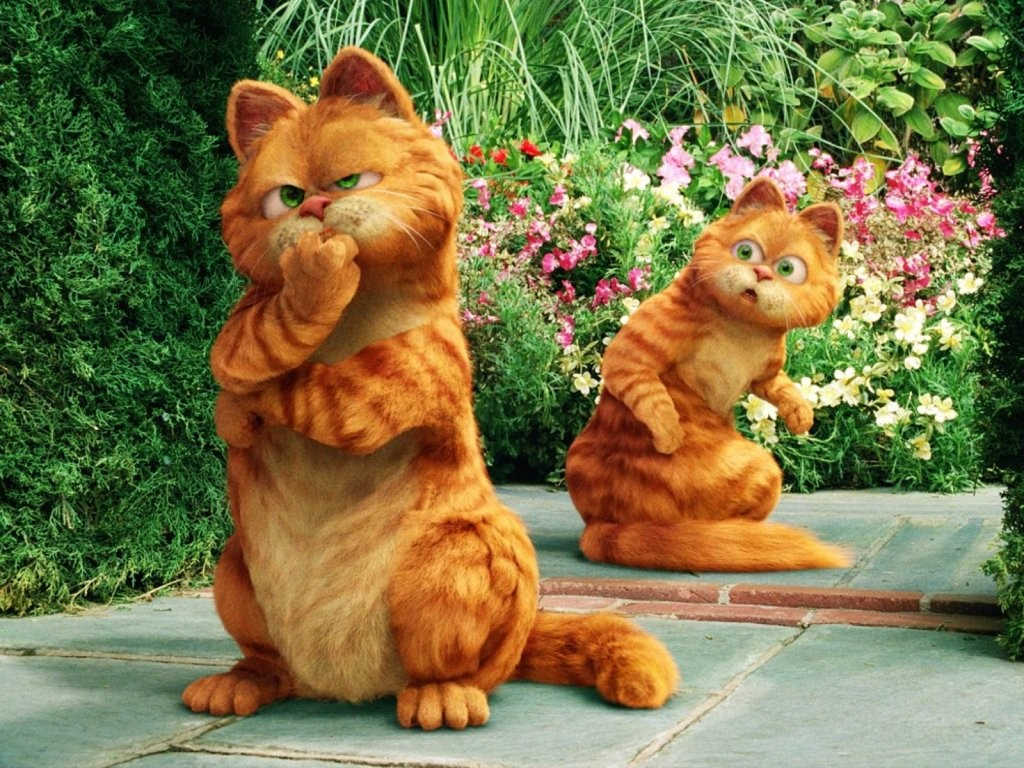 What Cat Breed Am I? Garfield