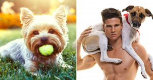 Choose Some Dogs & We'll Reveal What You Need in a Man Quiz