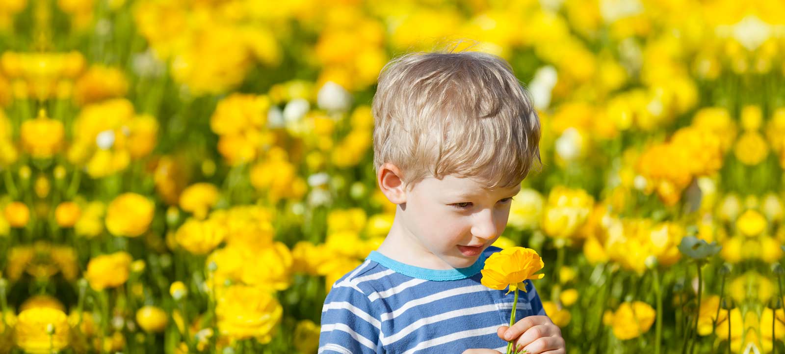 How Much Do You Remember from Elementary School Science? person smelling flowers