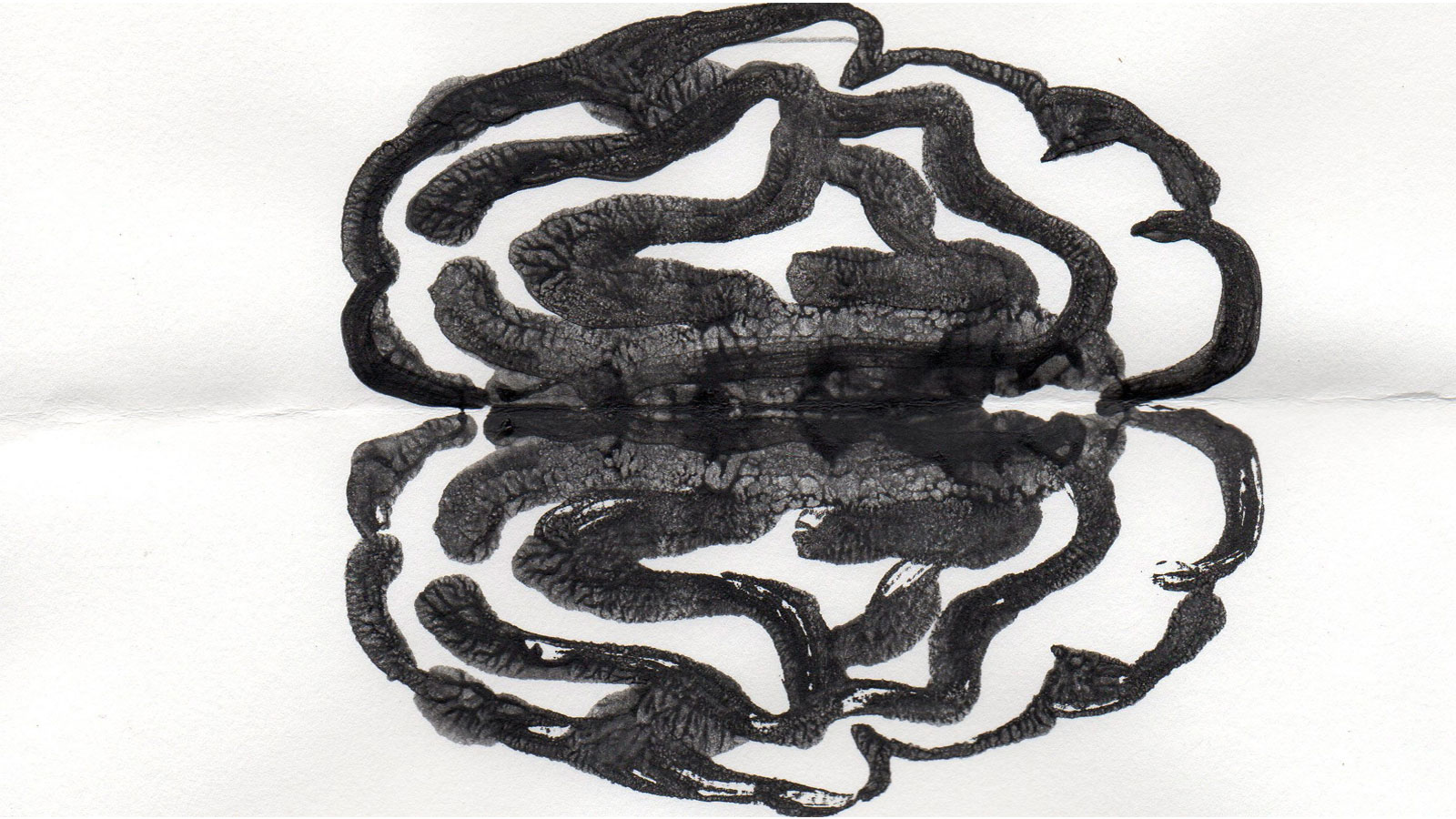 This Ink Blot Personality Test Is Frighteningly Accurate 1525