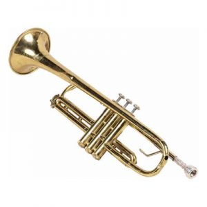 Can You Correctly Answer 15 Random General Knowledge Questions? Trumpet