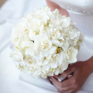 Plan Your Wedding & I'll Give You Wedding Destination, … Quiz Gardenias